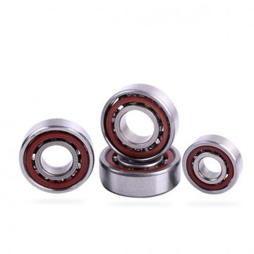 ISB 5313WG Angular Contact Ball Bearings