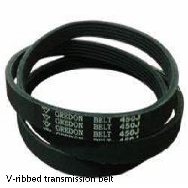 V-ribbed transmission belt