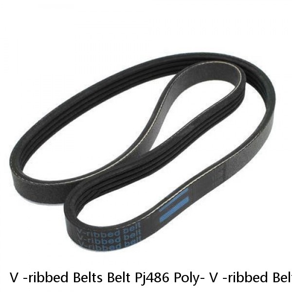 V -ribbed Belts Belt Pj486 Poly- V -ribbed Belts Special Transmission Belt For Photovoltaic Equipment