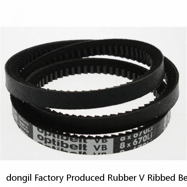 dongil Factory Produced Rubber V Ribbed Belt with 8PK 1550