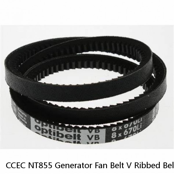 CCEC NT855 Generator Fan Belt V Ribbed Belt 3325963 3040384 3040385 178708 for genset